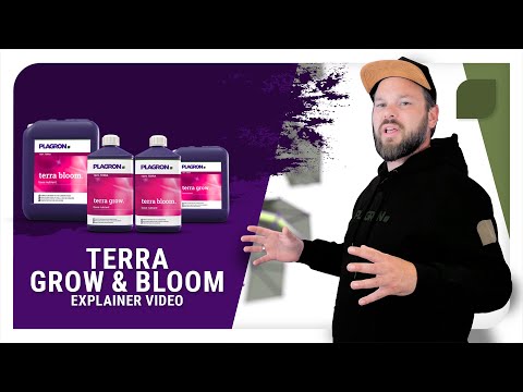 Plagron - Terra Bloom