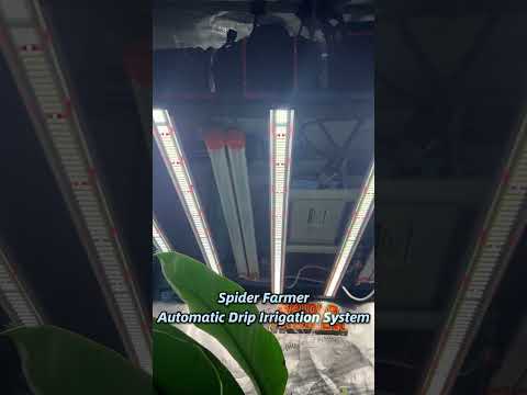 Spider Farmer Automatic Drip Irrigation System