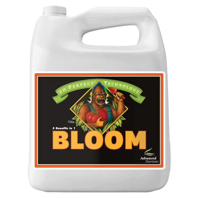 Advanced Bloom