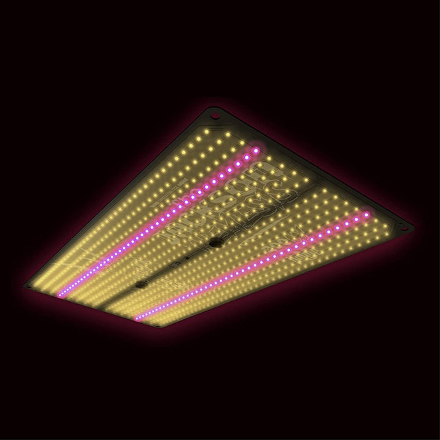 Jackson Nemesis LED Grow Light Glowing