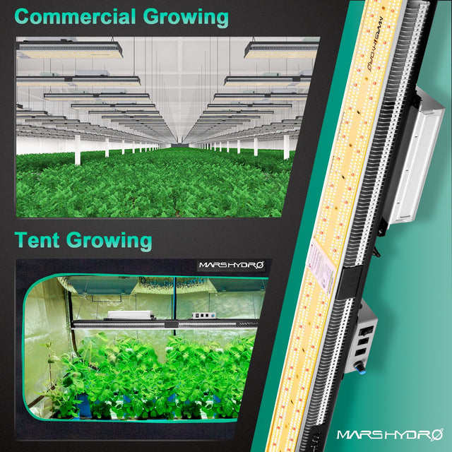 Mars Hydro Grow tent