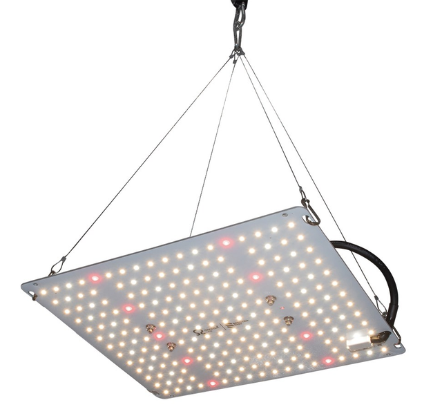 Best LED Grow Light