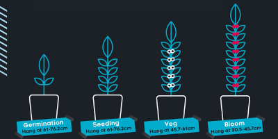 LED Grow Light distance
