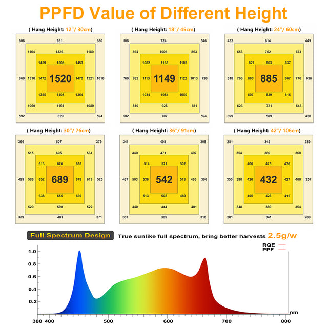 Phlizon PPFD Chart