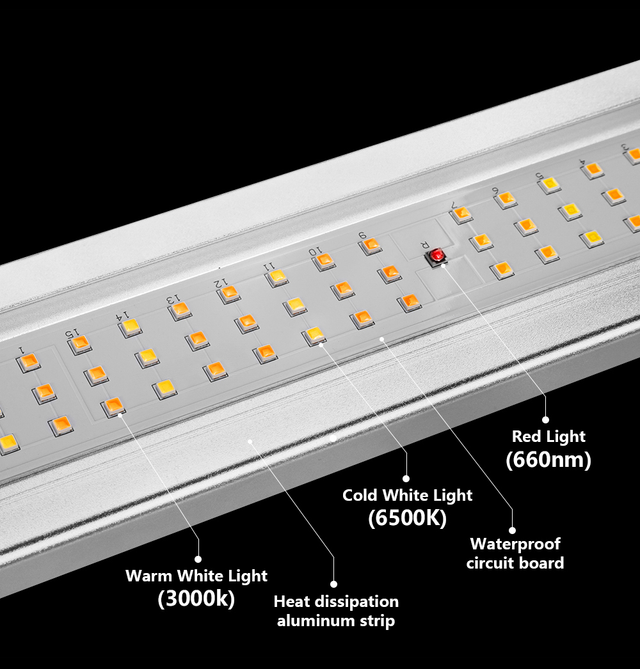 Phlizon LED Grow Light UK