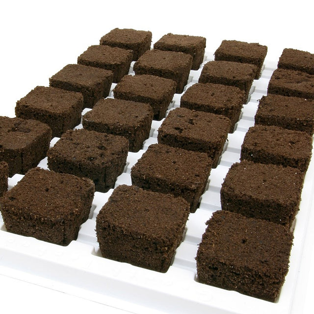 Root Riot Cubes for Propagation LED Grow Light