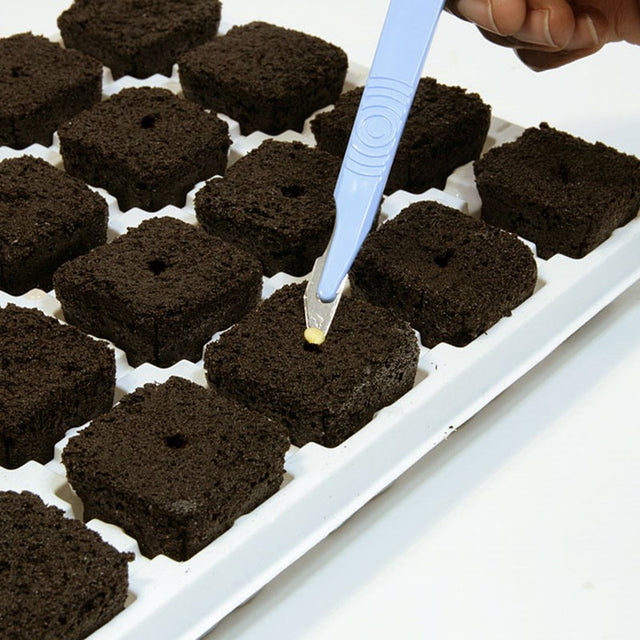 Root Riot Cubes Best for Cuttings LED Grow Light