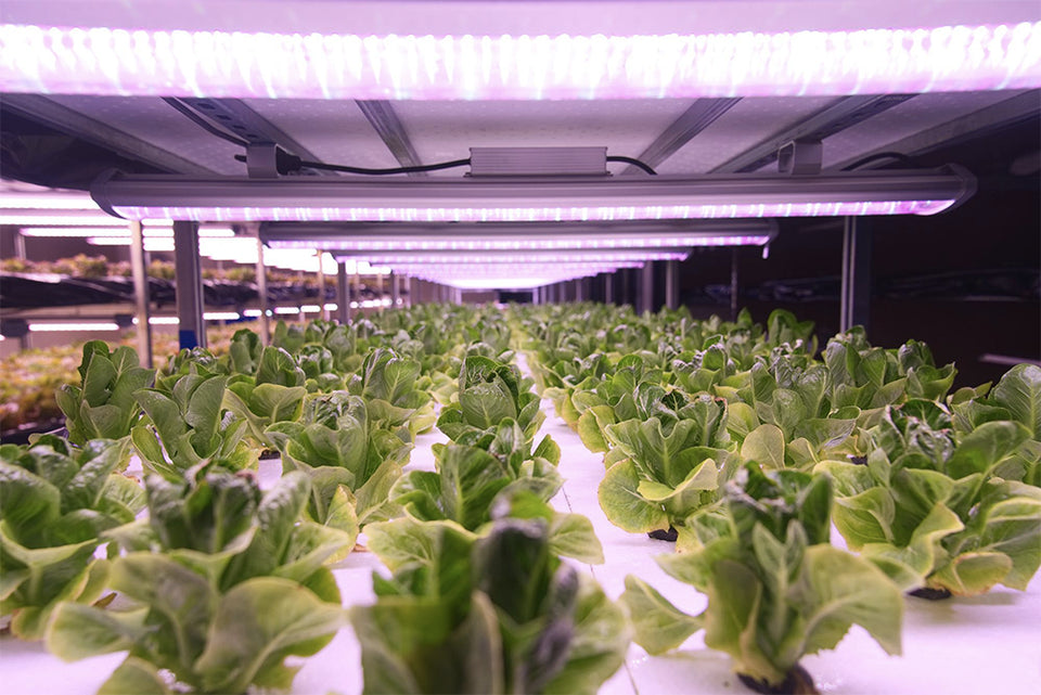 LED Grow Light Genius Bar ledgrowstore.co.uk