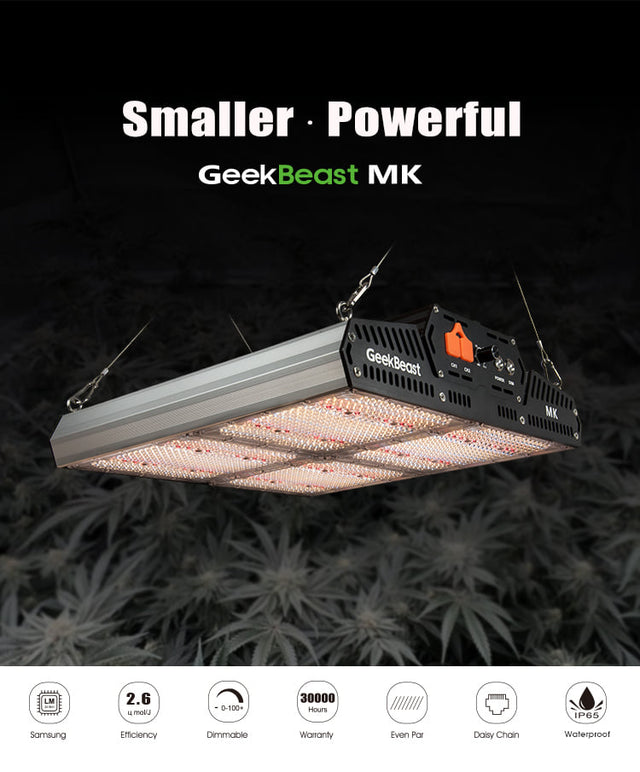 Geek Beast MK Review