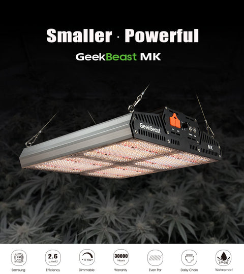 Geek Beast MK Review