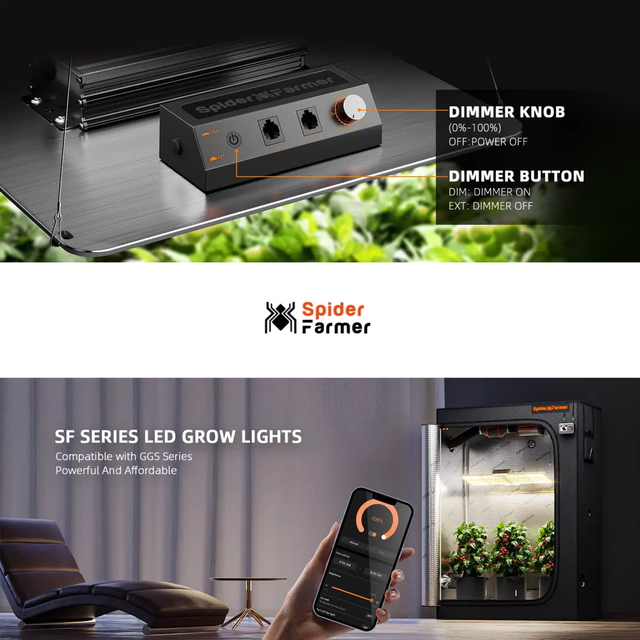 Spider Farmer SF Series LED grow light shown in a home setup scene, featuring a black metal frame, a black control box with a dimmer knob and button, a smartphone app screen, and indoor plants under warm LED lighting.