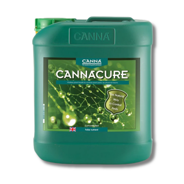 Green container of Canna Cannacure on a white background