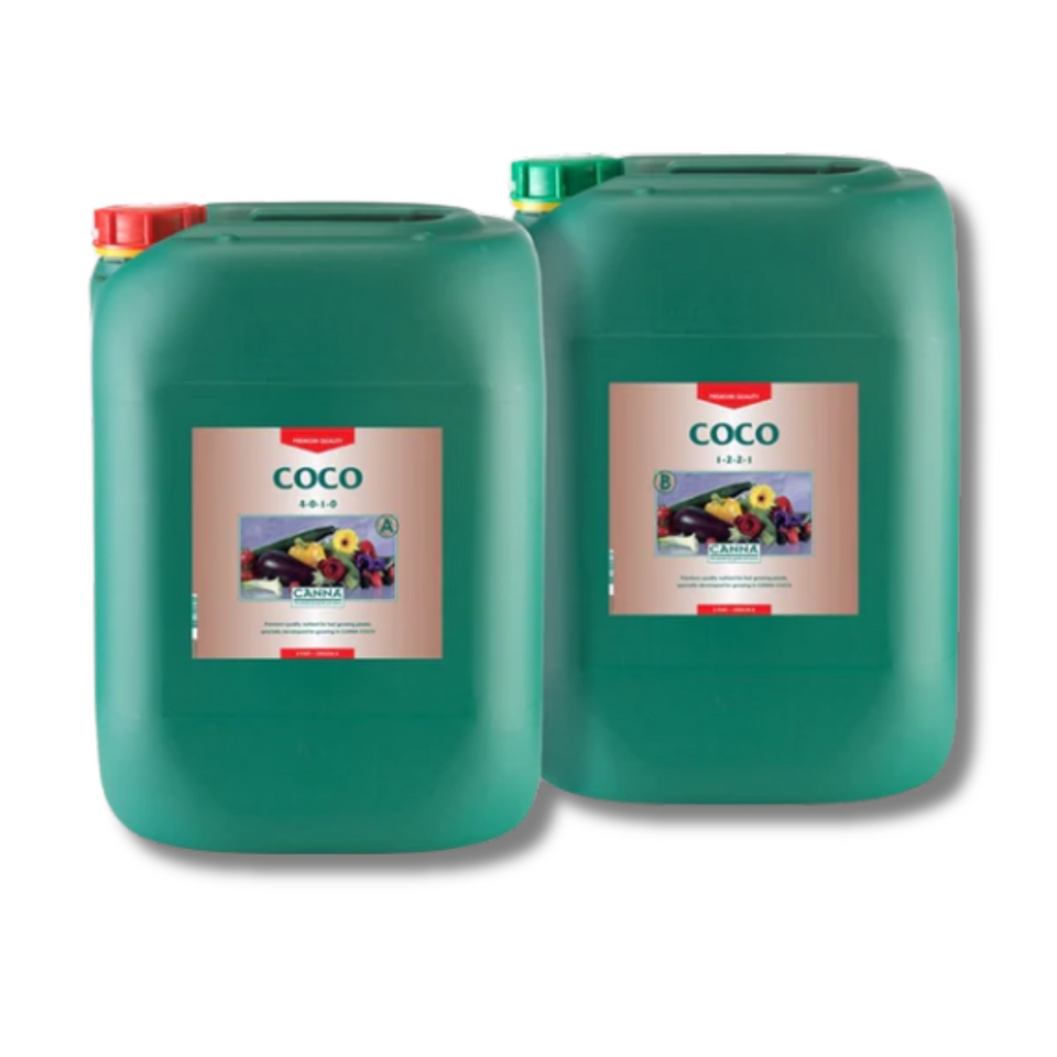 Canna Coco