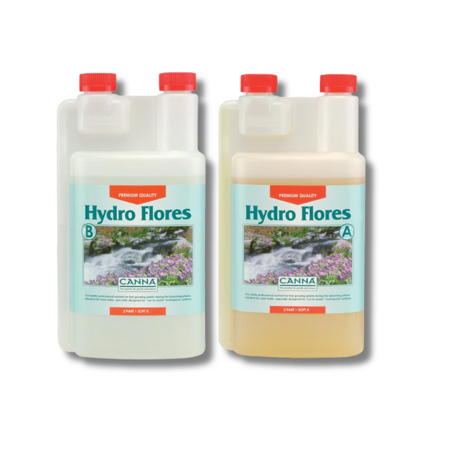 Canna - Hydro Flores