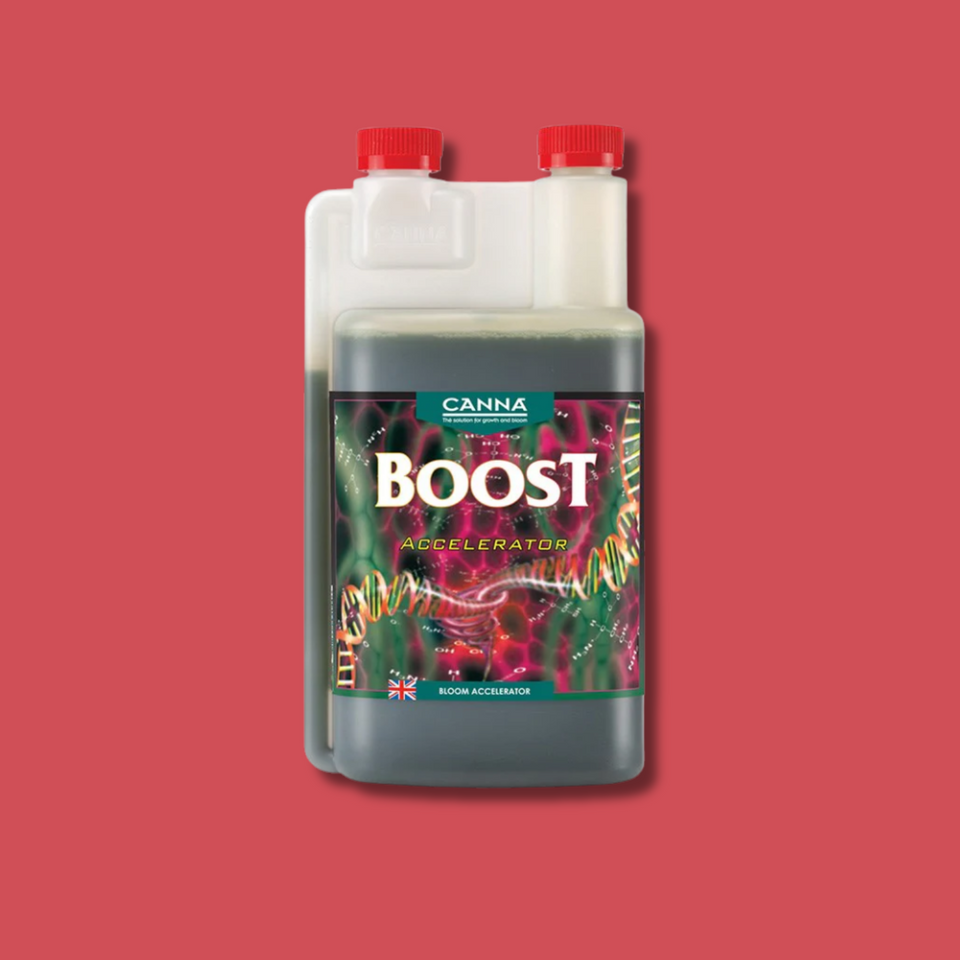 Canna - Boost Accelerator