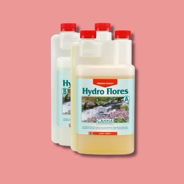 Canna - Hydro Flores