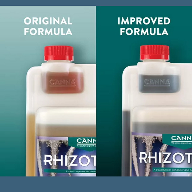 Canna - Rhizotonic