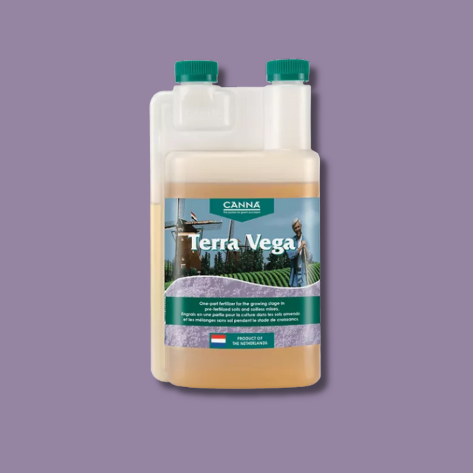 Canna - Terra Vega (Grow)