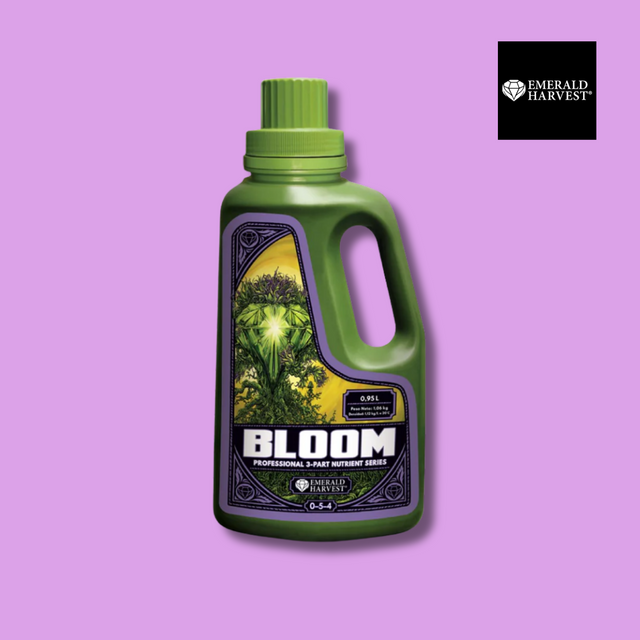 Emerald Harvest - Bloom