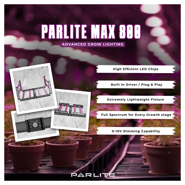Parlite MAX 800w LED Grow Light Full Spectrum