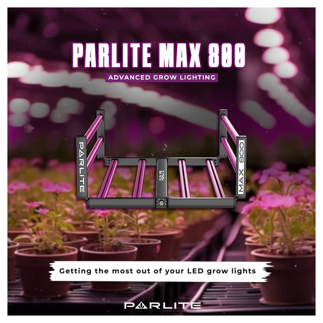 Parlite MAX 800w LED Grow Light