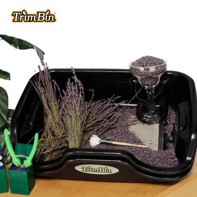 The Harvest More Trim Bin
