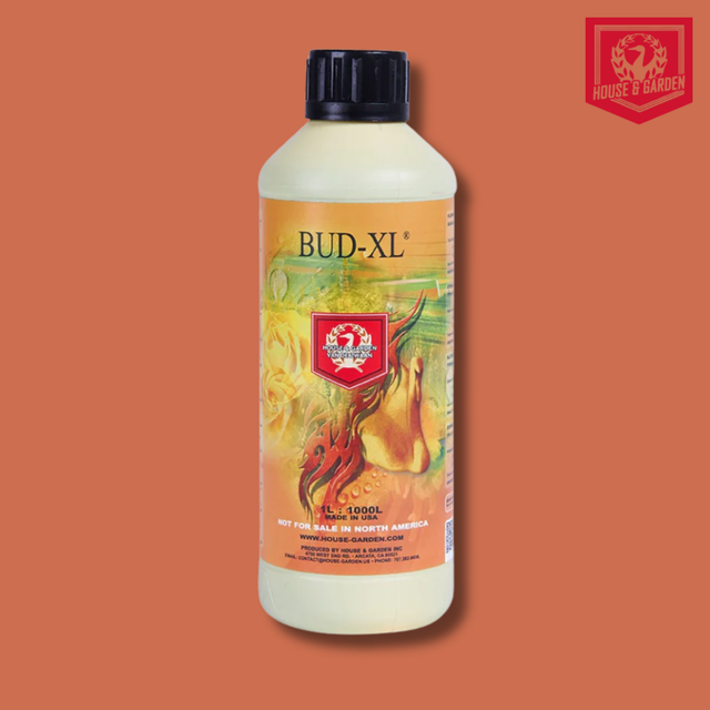 House & Garden - Bud XL