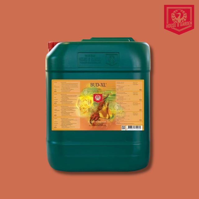House & Garden - Bud XL