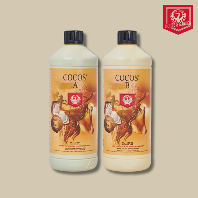 House & Garden - Coco A&B