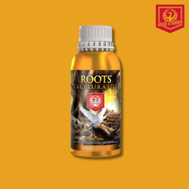 House & Garden - Root Excelurator