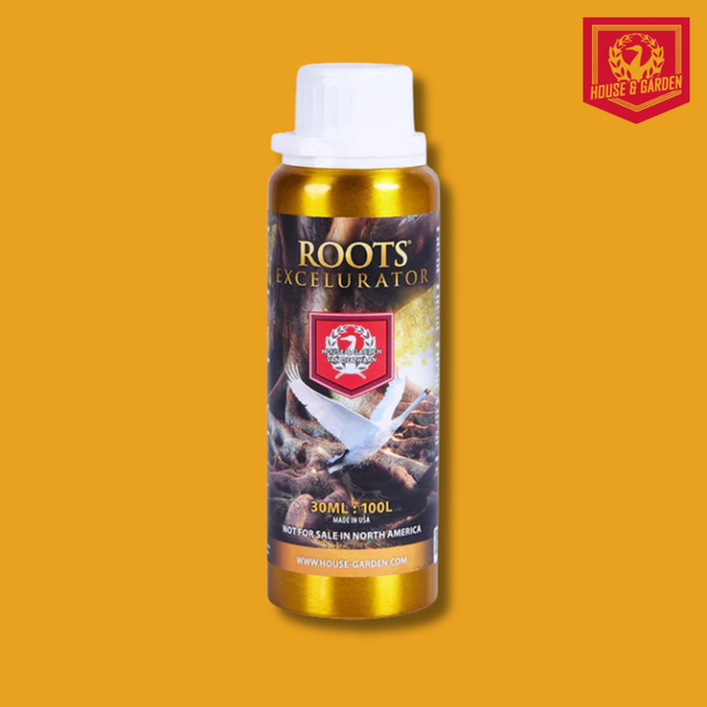House & Garden - Root Excelurator
