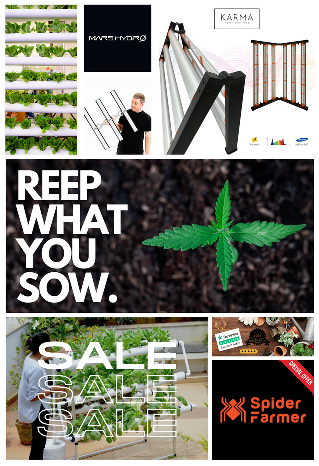 ledgrowstore