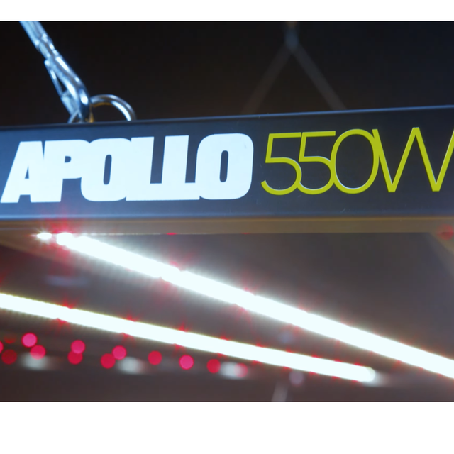 Lumatek Apollo 550w LED Grow Light