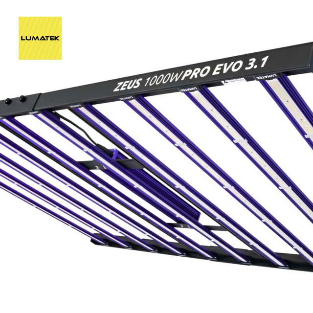 Lumatek Zeus 1000W Pro EVO 3.1 grow light with purple and white striped design on a white background.