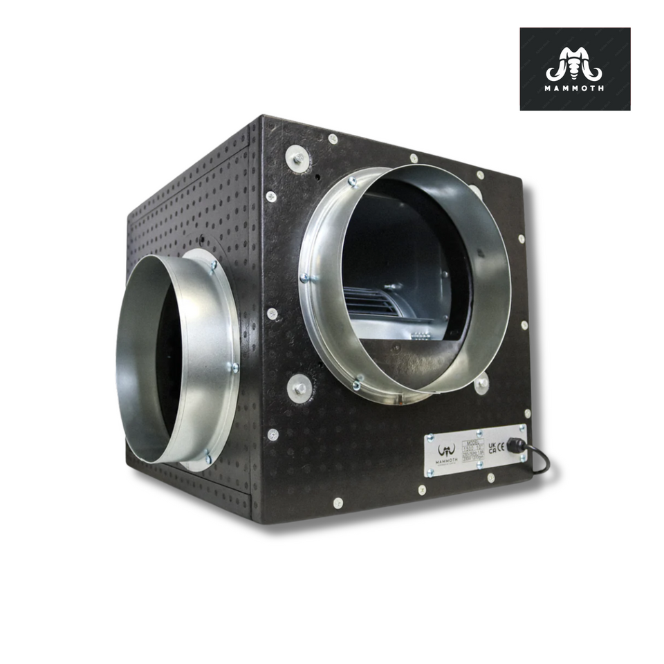 Mammoth Acoustic Foam Box Fan