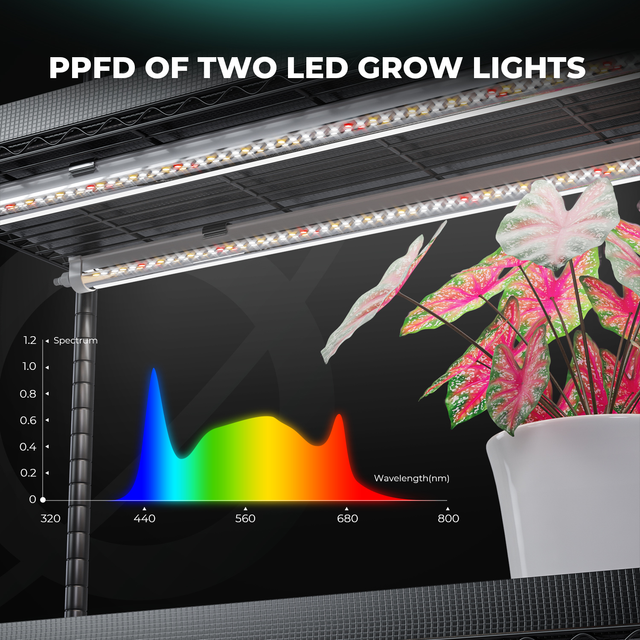 Mars Hydro 5 Shelf Vertical Garden Pro with Grow Lights - 250w