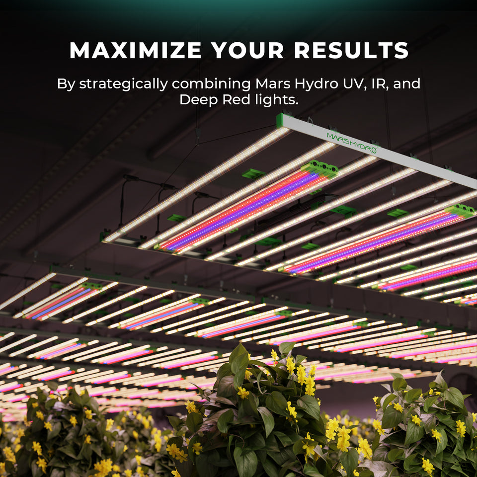 Mars Hydro Adlite UV55 LED Grow Light Maximise Results