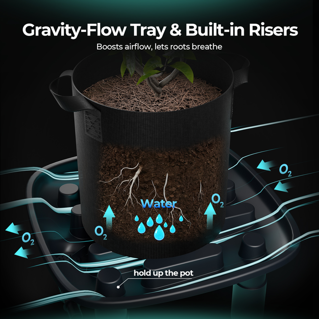 Mars Hydro Automatic Drainage System