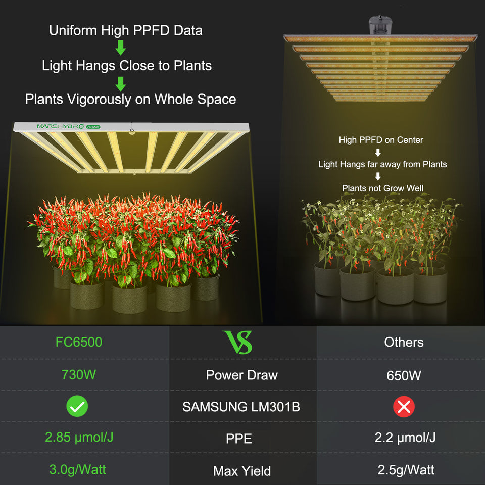 Mars Hydro FC6500 LED Grow Light VS Standard LED Grow Lights