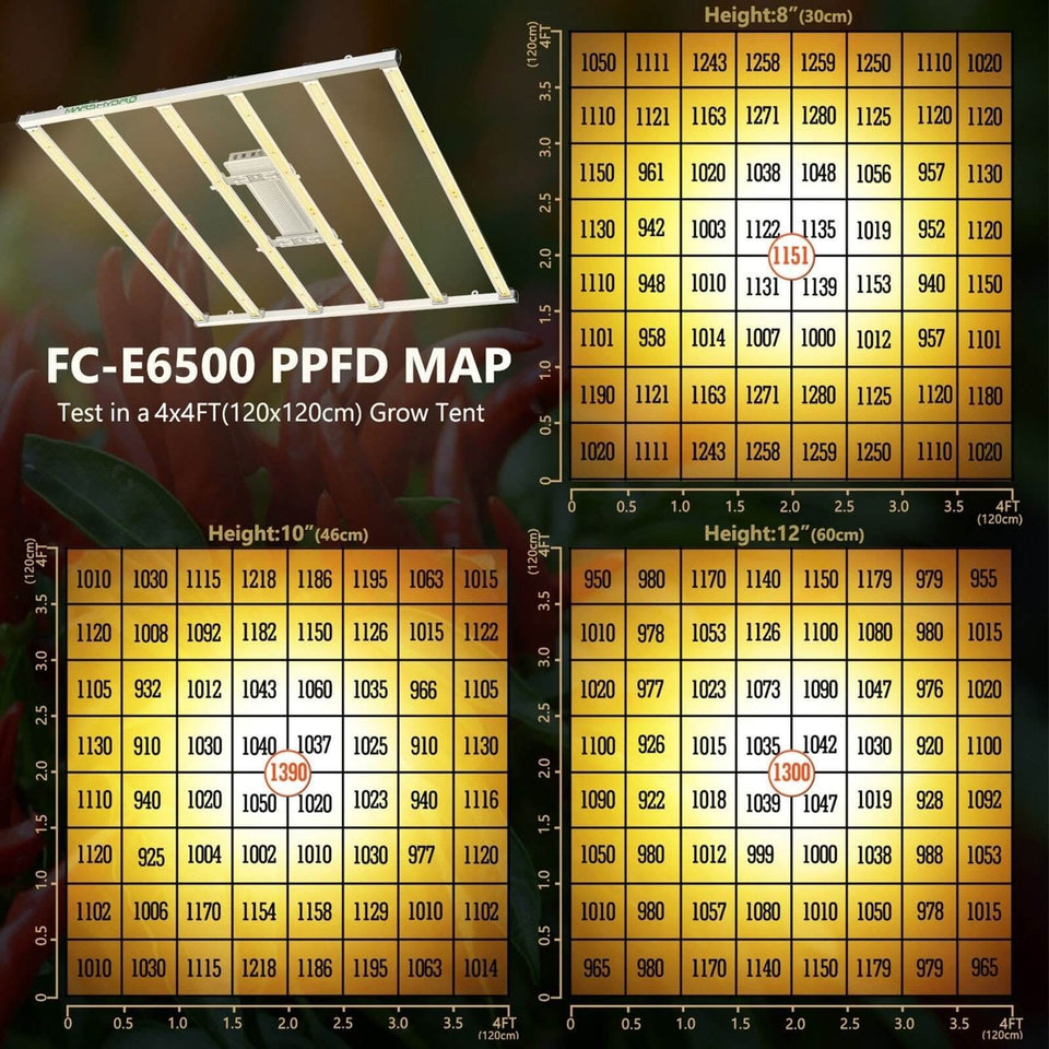 Mars Hydro FC-E6500 LED Grow Light (Smart Edition) PPFD Map