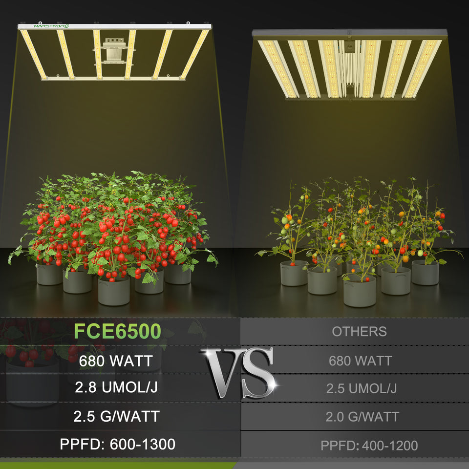Mars Hydro FC-E6500 LED Grow Light (Smart Edition) VS Other LED Grow Lights