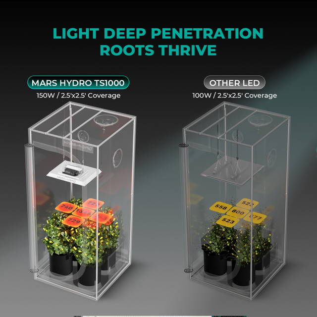 Mars Hydro TS1000 150w LED Grow Light