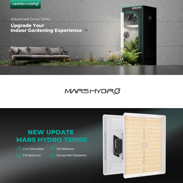 Mars Hydro TS1000 150w LED Grow Light