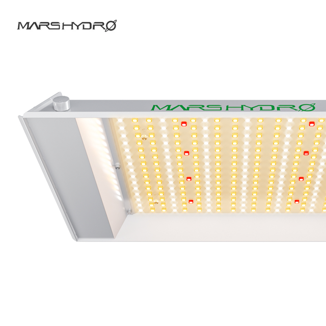 A rectangular LED grow light by Marshydro, featuring a white metal housing, a top mounting bracket with a silver screw, and a front panel of numerous warm white LEDs. The brand name 'MARSHYDRO' is printed in green on the top edge of the light.