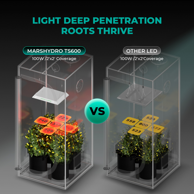 Mars Hydro TS600 LED Grow Light 100w