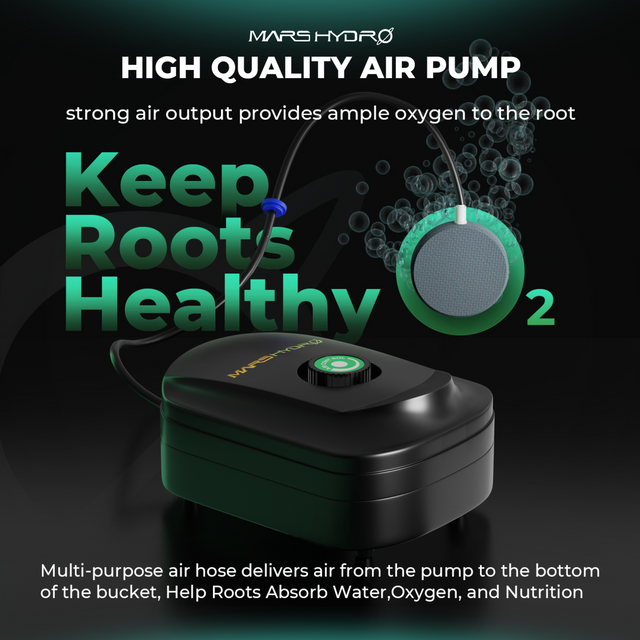 Mars Hydro DWC Hydroponic System Kit