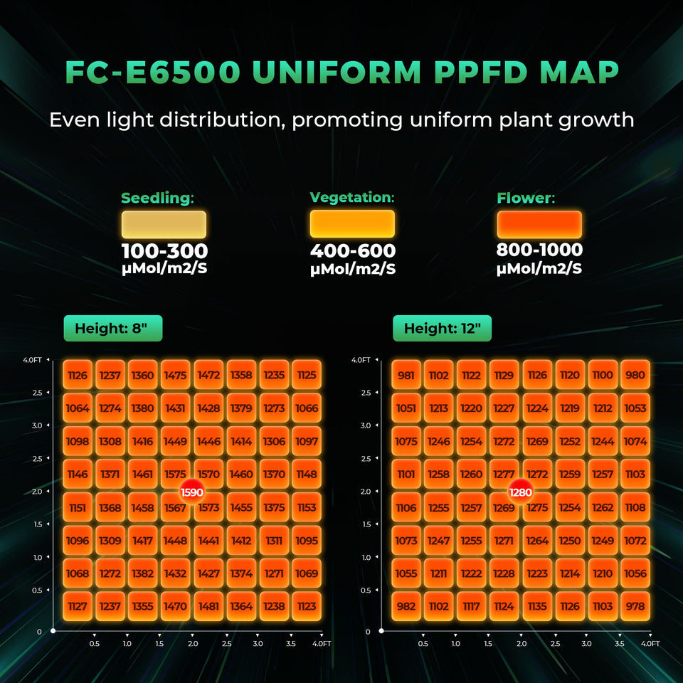 Mars Hydro FC-E6500 LED Grow Light (iConnect Edition) PPFD Map