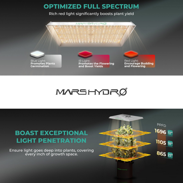 Mars Hydro TSW2000 LED Grow Light