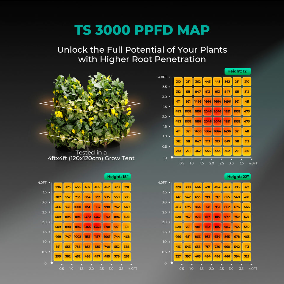 Mars Hydro TS3000 LED Grow Light PPFD Map