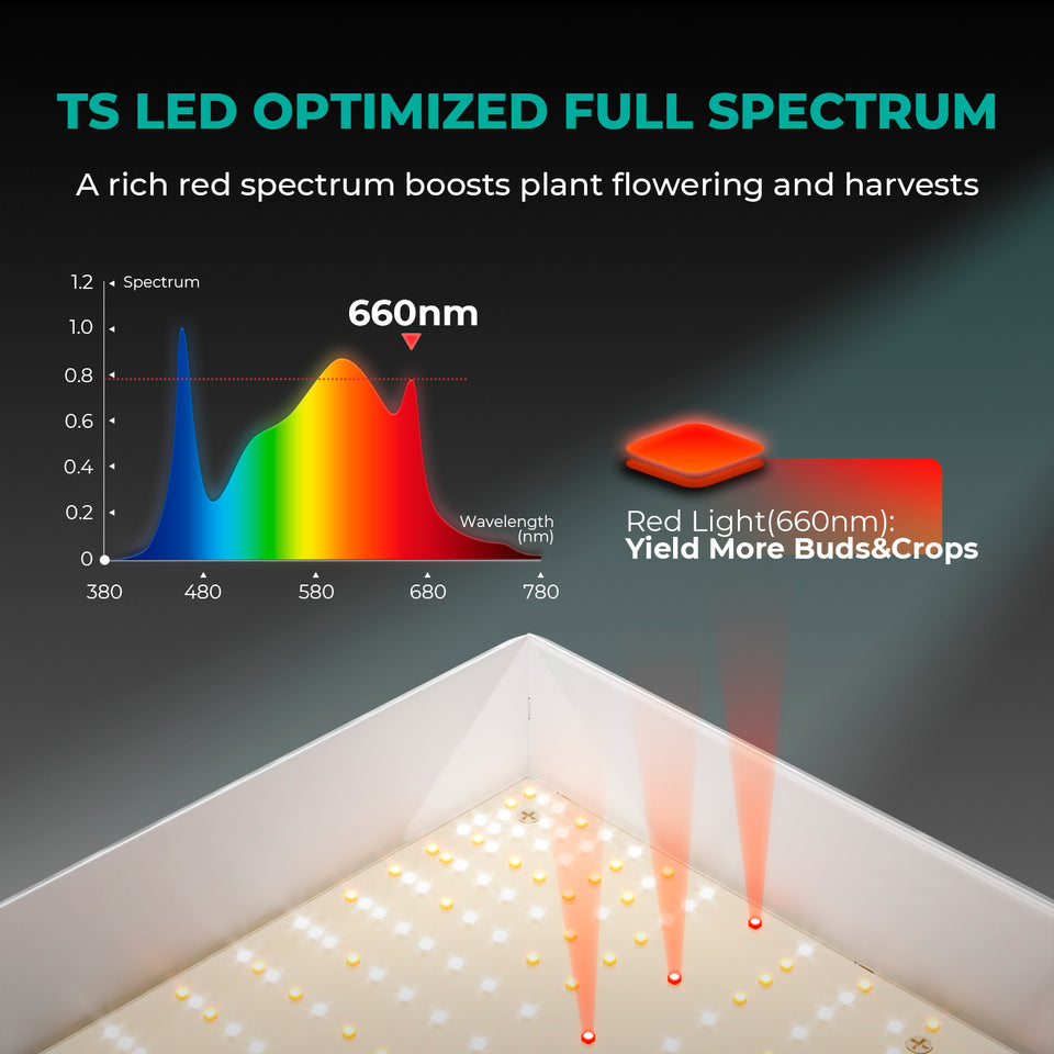 Mars Hydro TS3000 LED Grow Light Spectrum Analysis